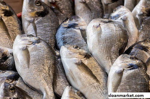 Fish Maw In Arizona Market