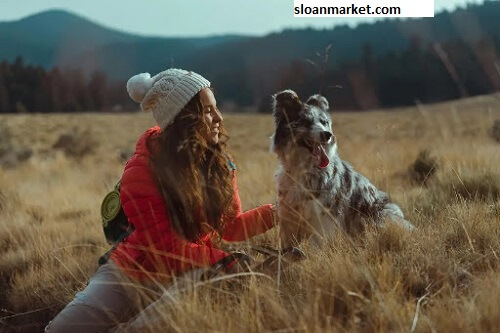 Roam Pets Digital Marketing