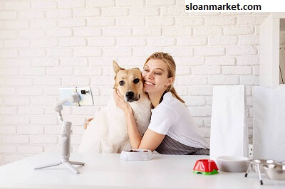 Roam Pets Digital Marketing And Emergence